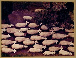 Image description is not available for 1975.032